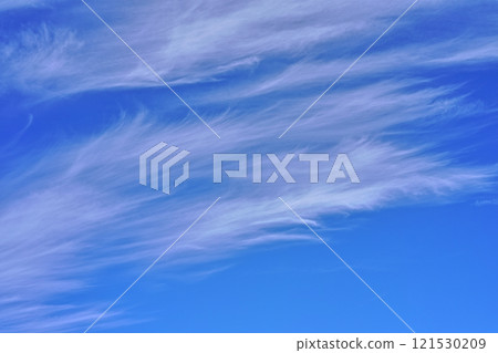 北國北海道藍天白雲飄逸 121530209