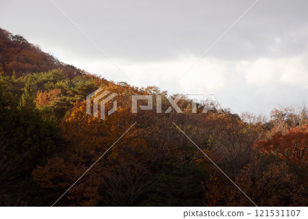 Hyogo Prefecture, Autumn Foliage Scenery, Ono City, Beniyama Alps 121531107