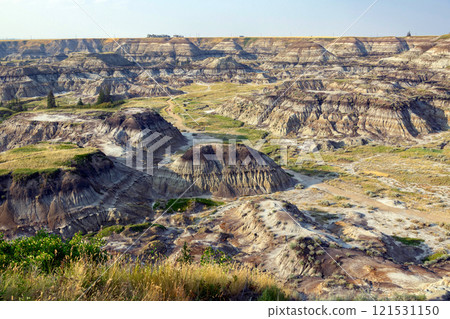 Eroded sandstone formations and badlan's flora in Horseshoe canyon. 121531150