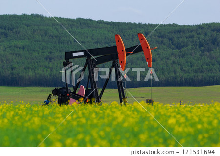 Pumpjack in the yellow blooming canola field and green forest hills in the background. Pumpjack in the yellow blooming canola field and green forest hills in the background. 121531694