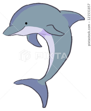Dolphin illustration cutout Dolphin illustration cutout 121531857