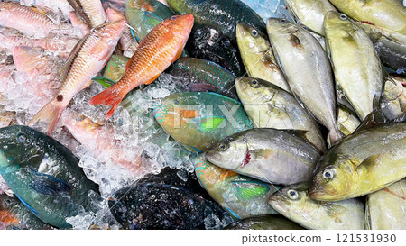 Fresh colorful fish on display at a market in Okinawa 121531930