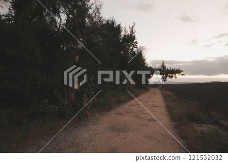 通往大海的路 121532032