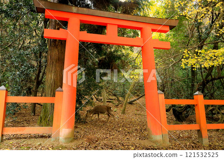 World Heritage Site Kasuga Taisha Shrine Mt. Mt. Ukiunbo Yohaisho 121532525