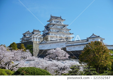 從姬路城附近看到的姬路城天守閣和藍天櫻花的景色 Ver.2 121532567