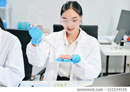 Food scientists in lab coats, testing samples, and analyzing food safety and quality Food scientists in lab coats, testing samples, and analyzing food safety and quality 121534556