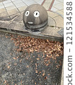 face? 121534588