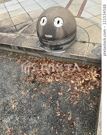 face? face? 121534588