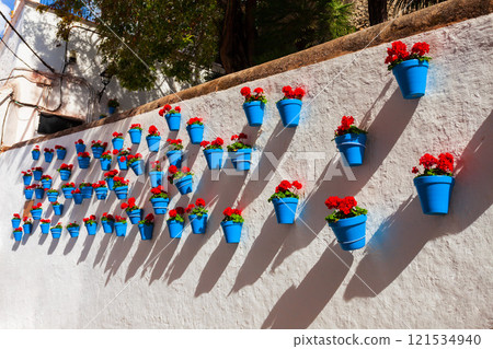Colorful flower pots in Marbella city in Andalusia 121534940