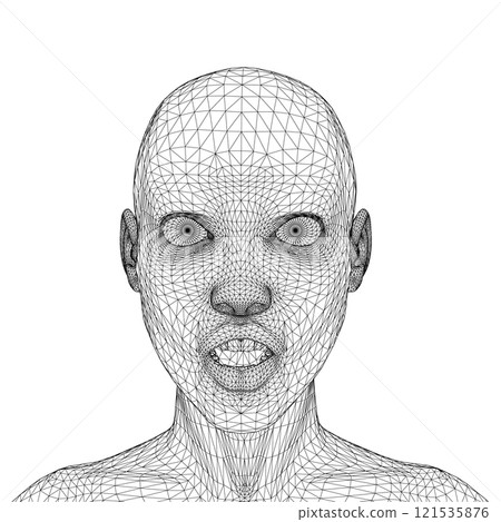 Wireframe of a girl's head from black lines isolated on a white background. Surprised facial expression. Front view. 3D. Vector illustration. Wireframe of a girl's head from black lines isolated on a white background. Surprised facial expression. Front view. 3D. Vector illustration. 121535876