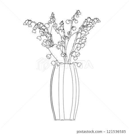 Outline of lilies of the valley in a vase from black lines isolated on white background. Flowers in a vase. Front view. 3D. Vector illustration. Outline of lilies of the valley in a vase from black lines isolated on white background. Flowers in a vase. Front view. 3D. Vector illustration. 121536585