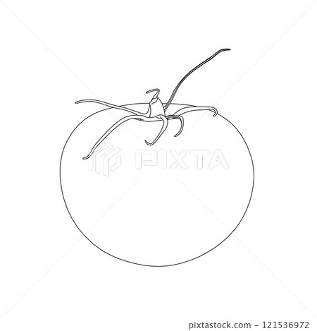 Outline of a tomato from black lines isolated on a white background. Vector illustration. Outline of a tomato from black lines isolated on a white background. Vector illustration. 121536972