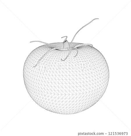 Wireframe of polygonal tomato from black lines isolated on white background. 3D. Vector illustration. 121536973