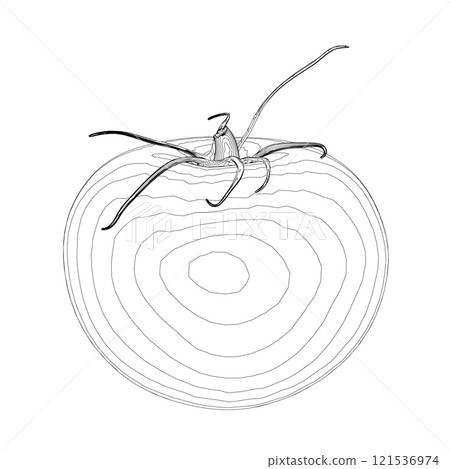 Outline of a tomato from black lines isolated on a white background. Vector illustration. Outline of a tomato from black lines isolated on a white background. Vector illustration. 121536974