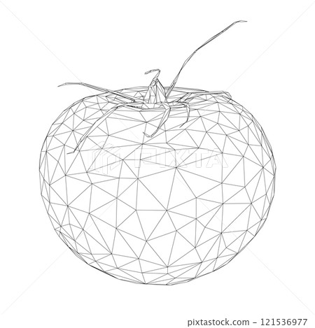 Low poly tomato wireframe from black lines isolated on white background. 3D. Vector illustration. 121536977