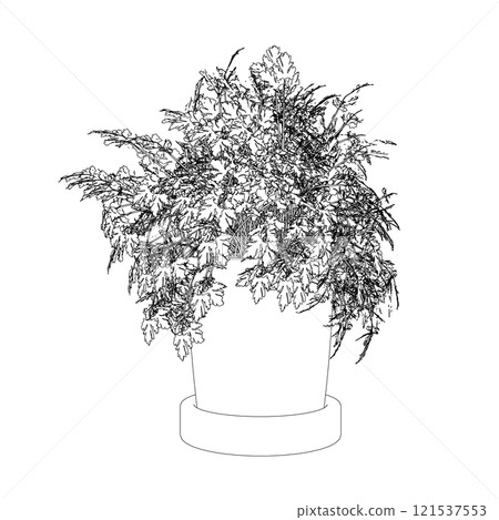 Outline of a home flower in a pot from black lines isolated on a white background. Front view. 3D. Vector illustration. Outline of a home flower in a pot from black lines isolated on a white background. Front view. 3D. Vector illustration. 121537553