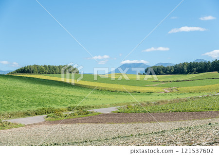 【美瑛山城的秋景】 121537602