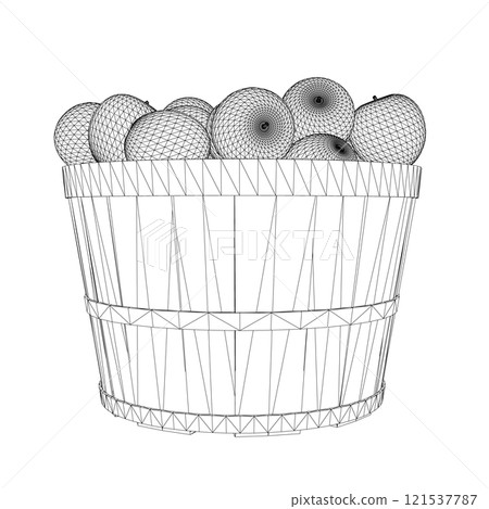 Wireframe of a bunch of apples in a bucket made of black lines isolated on a white background. Side view. 3D. Vector illustration. Wireframe of a bunch of apples in a bucket made of black lines isolated on a white background. Side view. 3D. Vector illustration. 121537787