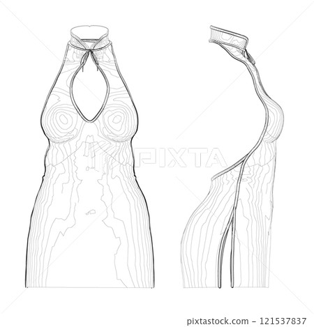 Contour of a women's short dress with an open back from black lines isolated on a white background. Side and front view. 3D. Vector illustration. Contour of a women's short dress with an open back from black lines isolated on a white background. Side and front view. 3D. Vector illustration. 121537837