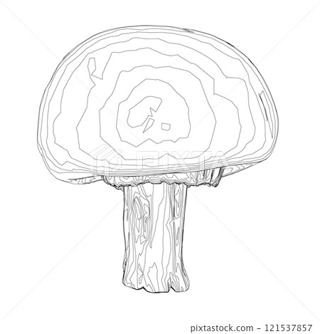 Outline of a mushroom from black lines isolated on a white background. Front view. Vector illustration. Outline of a mushroom from black lines isolated on a white background. Front view. Vector illustration. 121537857
