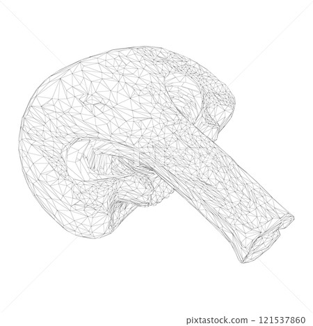 Mushroom wireframe cut in half from black lines isolated on white background. Perspective view. 3D. Vector illustration. 121537860