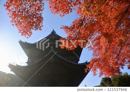 Nanzenji Temple, Sanmon Gate, and Autumn Leaves (Sakyo Ward, Kyoto) 121537948