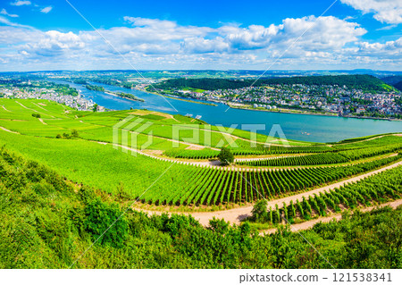 Rudesheim am Rhein Vineyards, Germany 121538341