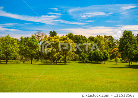 Bali Botanic Garden in Indonesia 121538562