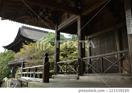 World Heritage Site: Daigoji Temple - Nyoirin-do Hall seen from Kaisan-do Hall [Important Cultural Property] 121539289
