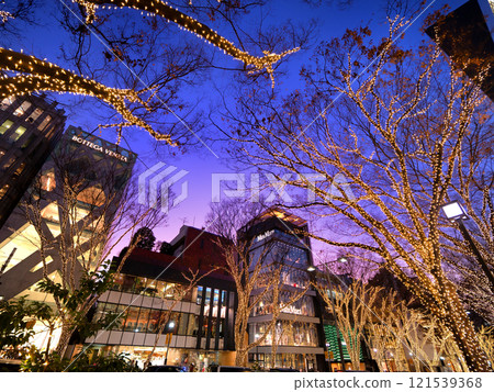 Omotesando Illuminations, Tokyo Omotesando Illuminations, Tokyo 121539368