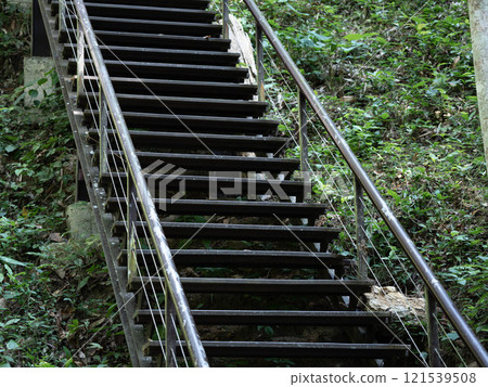 Metal stairs leading towards a forest surrounded by green leaves and with stainless steel handrails. Metal stairs leading towards a forest surrounded by green leaves and with stainless steel handrails. 121539508