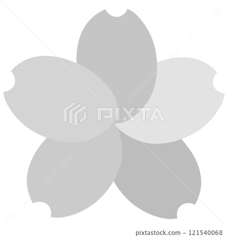 Cherry blossoms with different gray petals Cherry blossoms with different gray petals 121540068