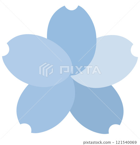 不同顏色的藍色花瓣的櫻花 121540069