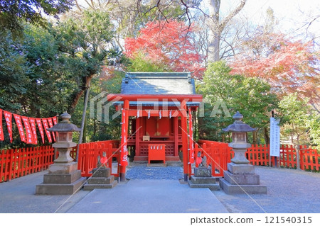 [神奈川縣] 鎌倉鶴岡八幡宮圓山稻荷神社 121540315