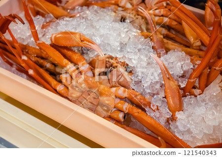 Raw red swan crab 121540343