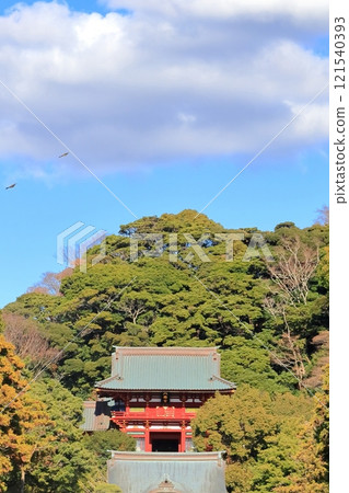 [Kanagawa Prefecture] Kamakura Tsurugaoka Hachimangu Shrine 121540393