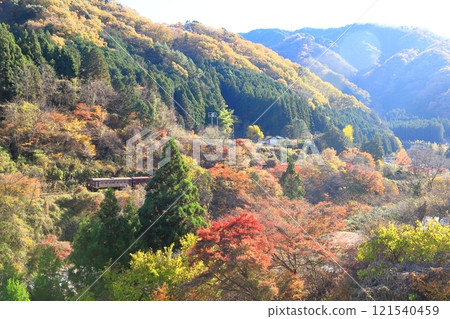 渡良瀨溪國鐵道“澤入附近山間紅葉中行駛的列車” 渡良瀨溪國鐵道“澤入附近山間紅葉中行駛的列車” 121540459