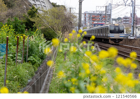春暖花開橫須賀線E217系列 春暖花開橫須賀線E217系列 121540566