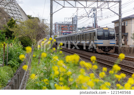 春暖花開橫須賀線E217系列 春暖花開橫須賀線E217系列 121540568