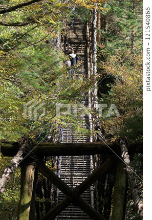 Tokushima prefecture Miyoshi-shi Oku Iya district (former Toonaniyama village) 'Oku Iya double knot Kazura-bashi' man bridge Tokushima prefecture Miyoshi-shi Oku Iya district (former Toonaniyama village) 'Oku Iya double knot Kazura-bashi' man bridge 121540866