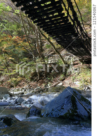 從德島縣三好市奧祖谷地區（舊東祖谷山村）「奧祖谷雙葛橋」的母橋下方看去 121540867