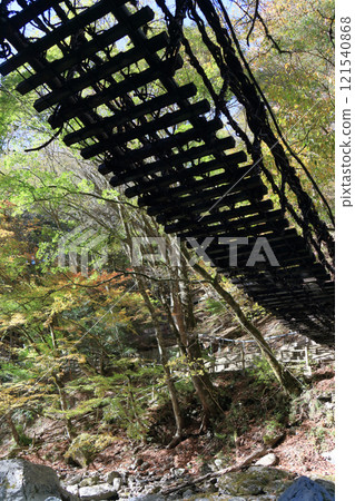 View of the female bridge of the "Oku-Iya Double Kazura Bridge" from below in the Oku-Iya area (formerly Higashi-Iyayama Village) in Miyoshi City, Tokushima Prefecture View of the female bridge of the "Oku-Iya Double Kazura Bridge" from below in the Oku-Iya area (formerly Higashi-Iyayama Village) in Miyoshi City, Tokushima Prefecture 121540868