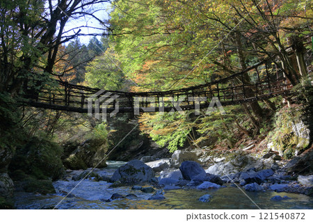 Tokushima prefecture Miyoshi shi Oku Iya district (former Toonaniyama village) "Oku Iya double knick bridge" women bridge Tokushima prefecture Miyoshi shi Oku Iya district (former Toonaniyama village) "Oku Iya double knick bridge" women bridge 121540872