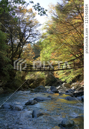 Tokushima prefecture Miyoshi-shi Oku Iya district (former Toonaniyama village) "Oku Iya double quiz Bridge" woman bridge and male bridge Tokushima prefecture Miyoshi-shi Oku Iya district (former Toonaniyama village) "Oku Iya double quiz Bridge" woman bridge and male bridge 121540884