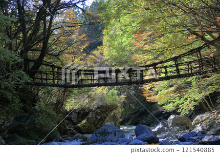 Tokushima prefecture Miyoshi-shi Oku Iya district (former Toonaniyama village) "Oku Iya double quiz Bridge" woman bridge and male bridge 121540885
