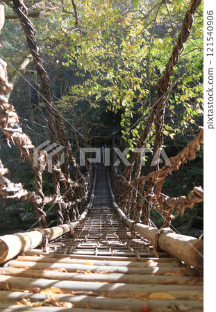 Tokushima prefecture Miyoshi shi Oku Iya district (former Toonaniyama village) "Oku Iya double knick bridge" women bridge 121540906