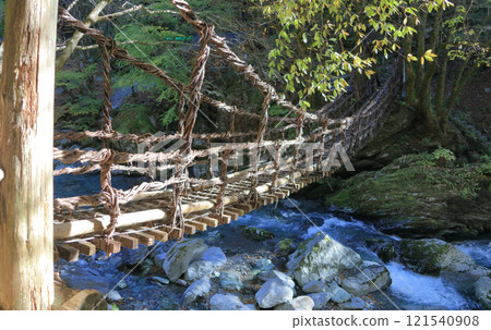 Tokushima prefecture Miyoshi shi Oku Iya district (former Toonaniyama village) "Oku Iya double knick bridge" women bridge 121540908