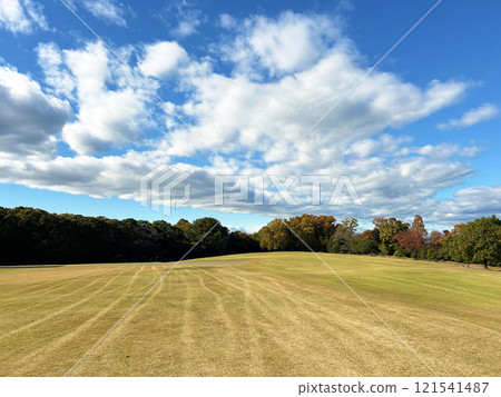 Blue sky and a vast lawn 121541487