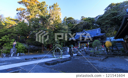 New Year at Shirahama Shrine in Shimoda City 121541604
