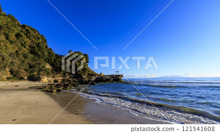 下田市白濱神社新年 下田市白濱神社新年 121541608